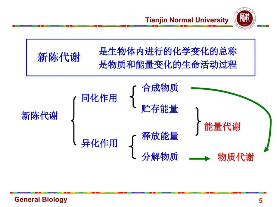 《细胞代谢》PPT课件_第5页