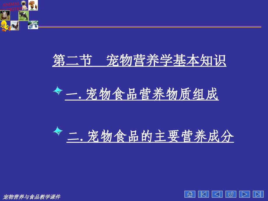 宠物营养学基本知识能量与宠物营养_第2页