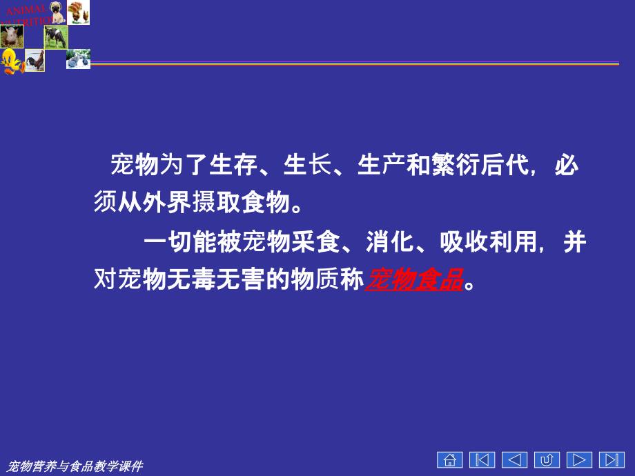 宠物营养学基本知识能量与宠物营养_第3页