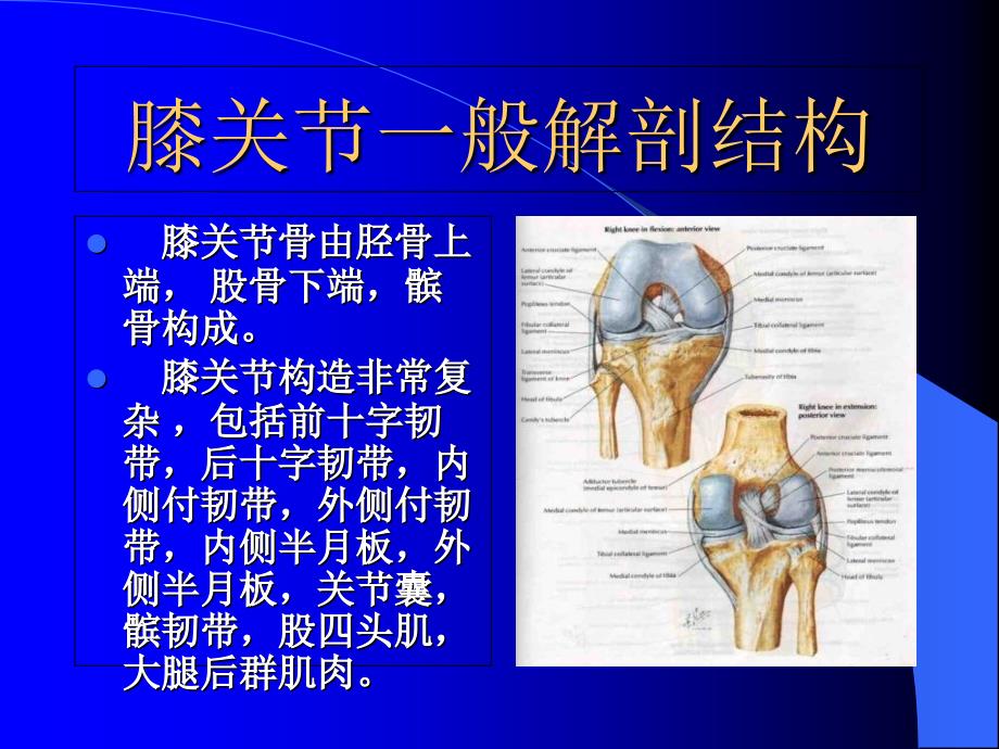 全膝关节置换的护理及康复_第3页