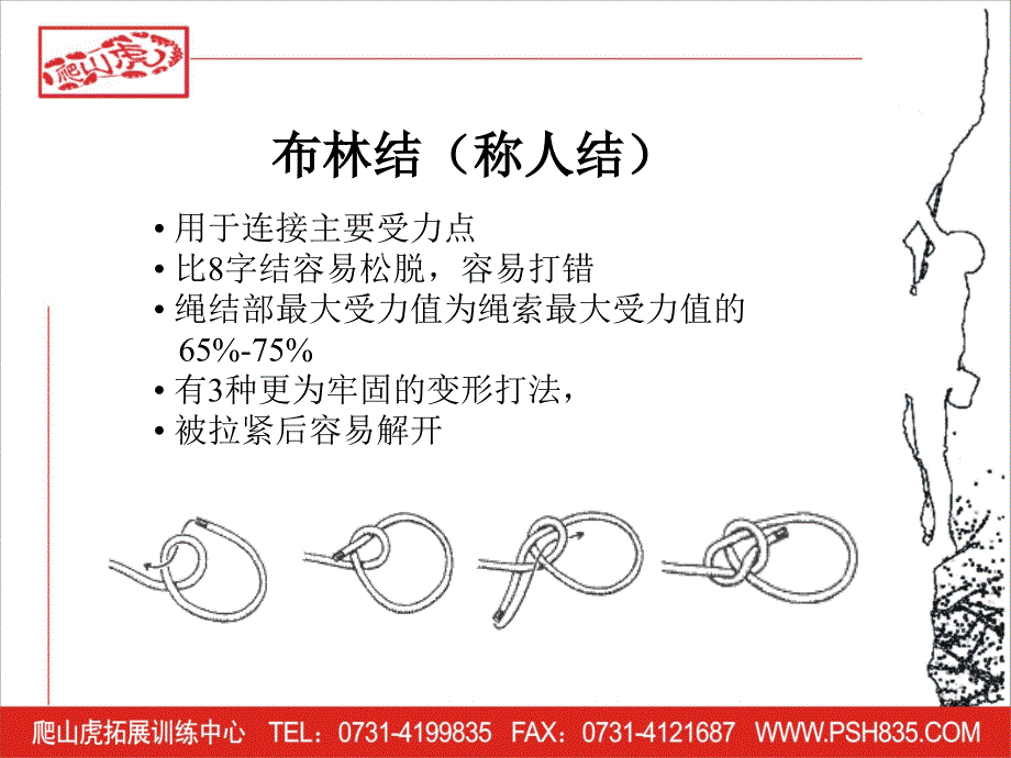 8种常用绳结课件_第3页