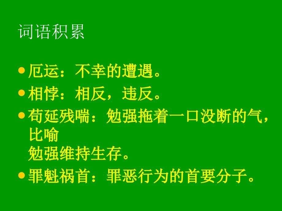 49、《鹿和狼的故事》_第5页