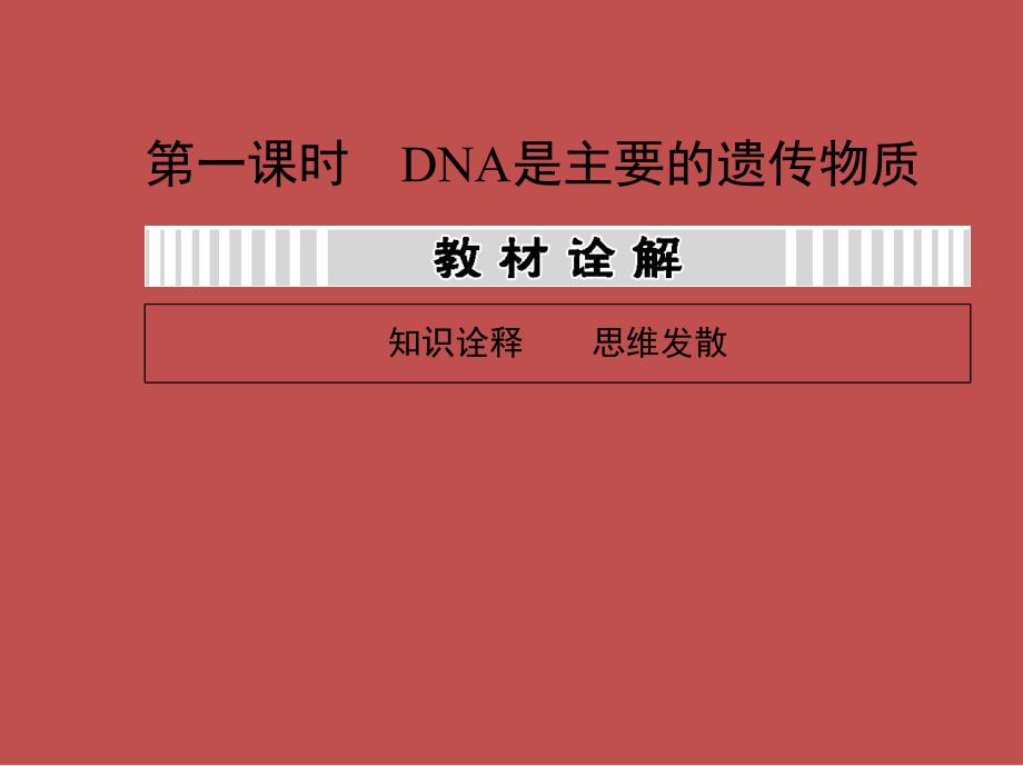 高三一轮复习61DNA是主要的遗传物质课件_第4页