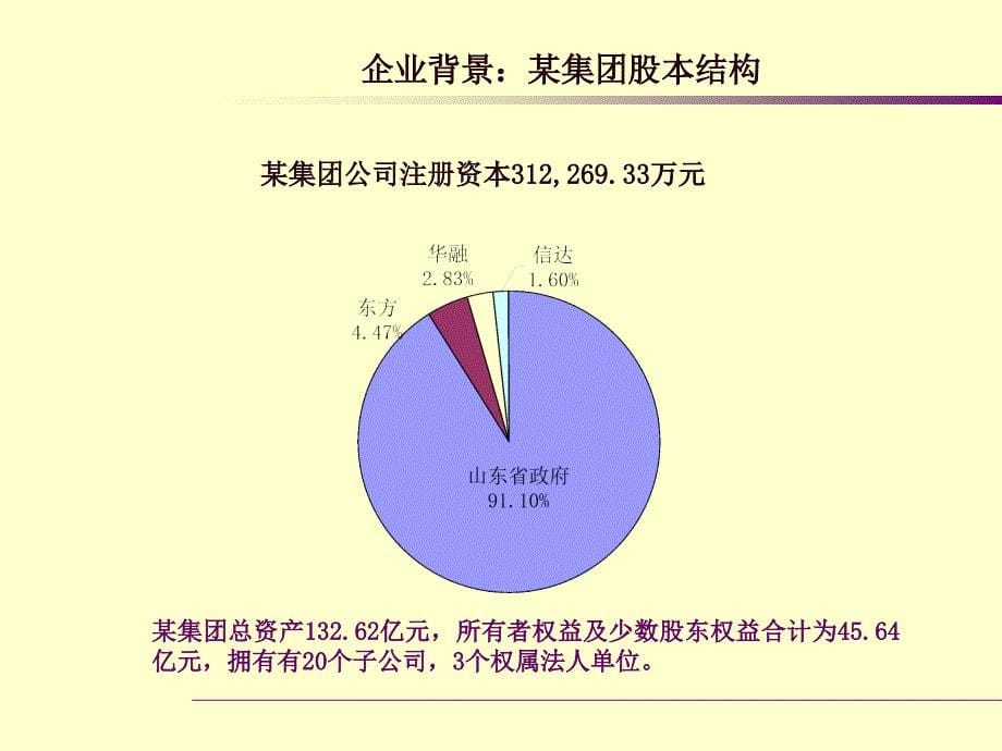 钢铁集团有限公司企业改制项目建议书课件_第5页