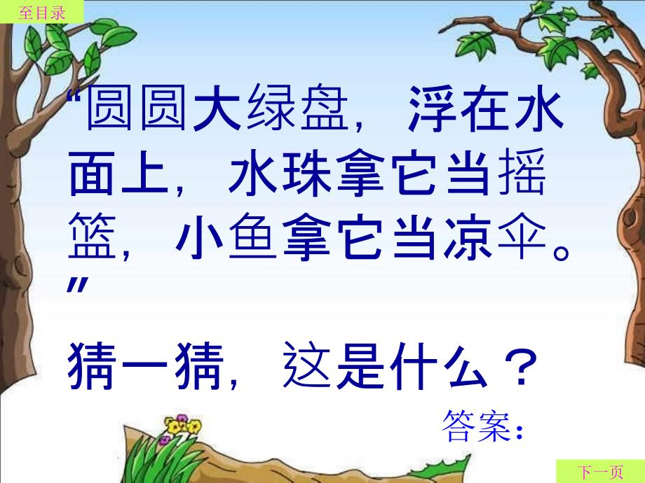li荷叶圆圆xxppt课件_第1页
