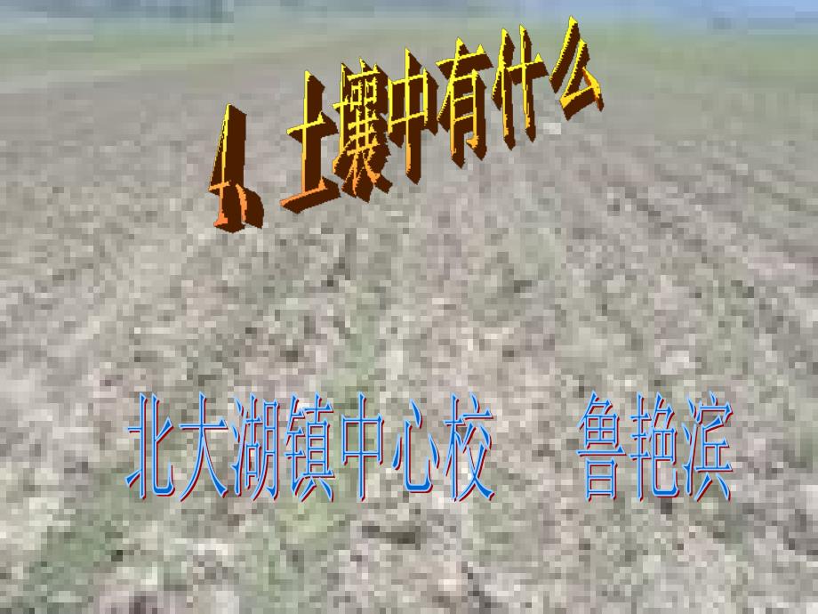 土壤中有什么_第3页