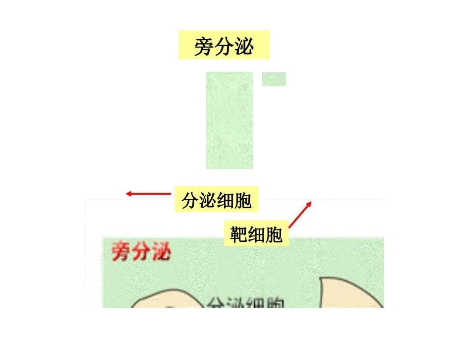 8细胞信号转导66文档资料_第5页