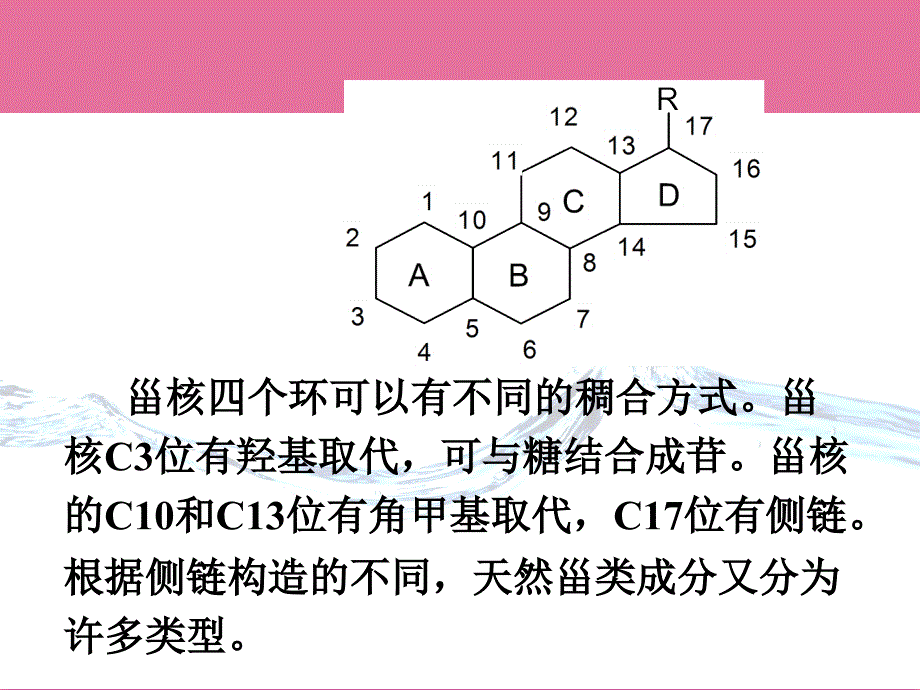 第九章甾体及其苷类ppt课件_第3页