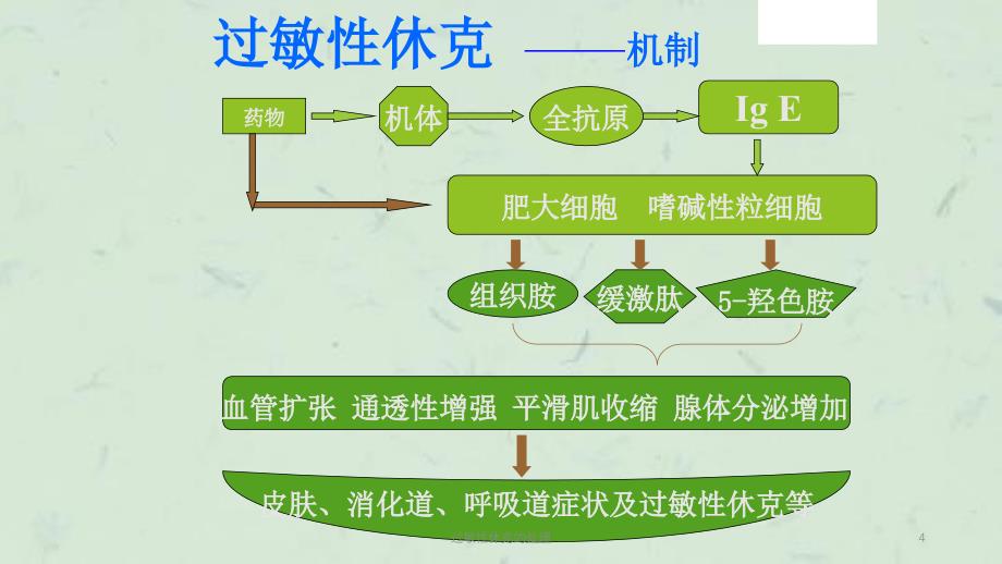 过敏性休克的处理课件_第4页