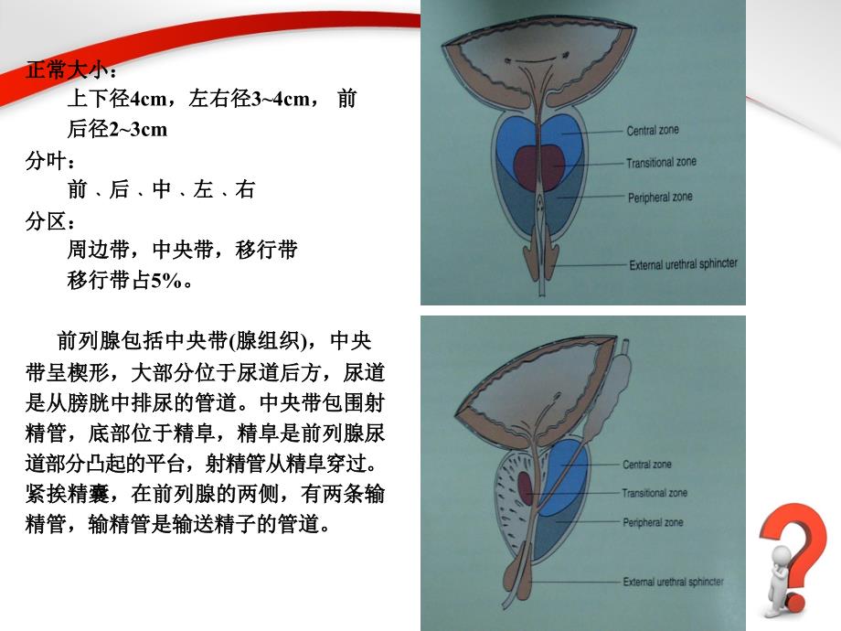 前列腺增生症._第4页