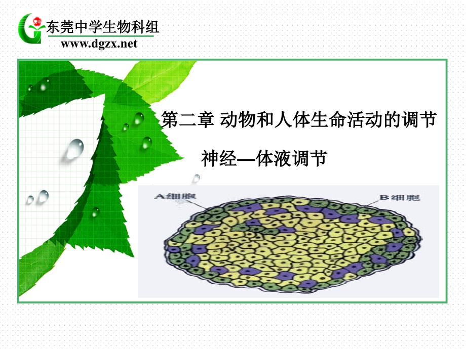 第二部分动物和人体命活动的调部分_第1页