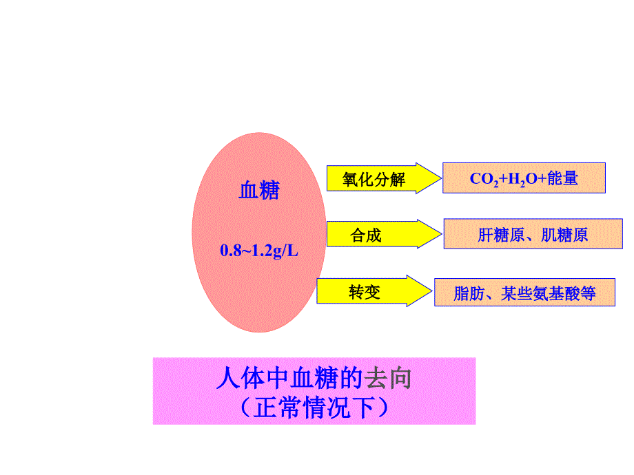 第二部分动物和人体命活动的调部分_第3页