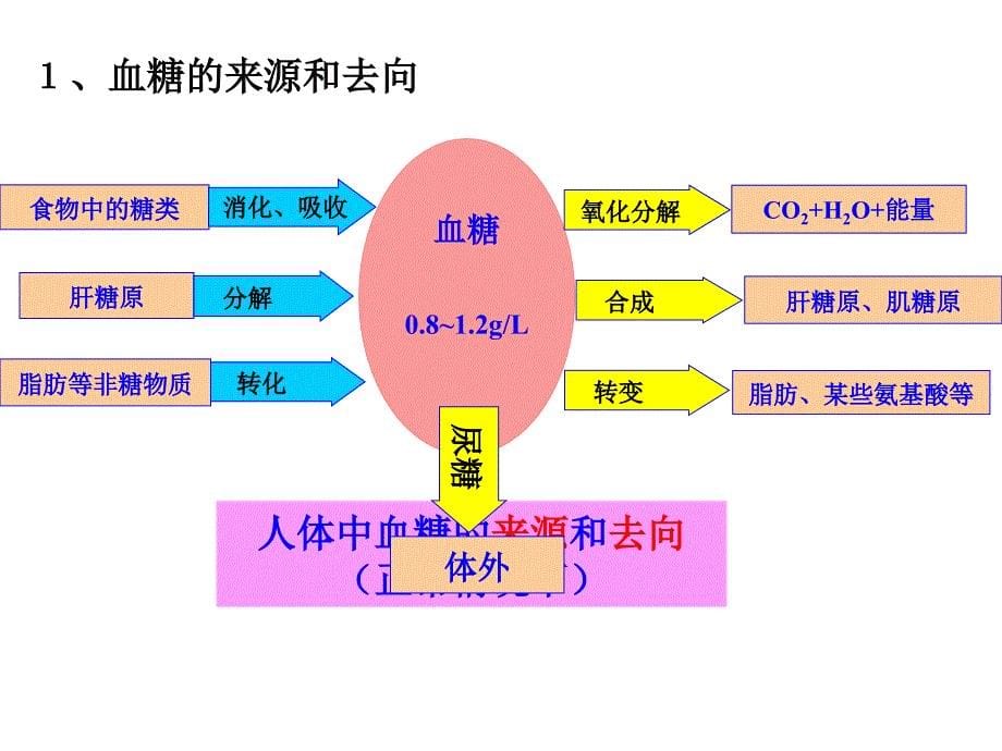 第二部分动物和人体命活动的调部分_第5页