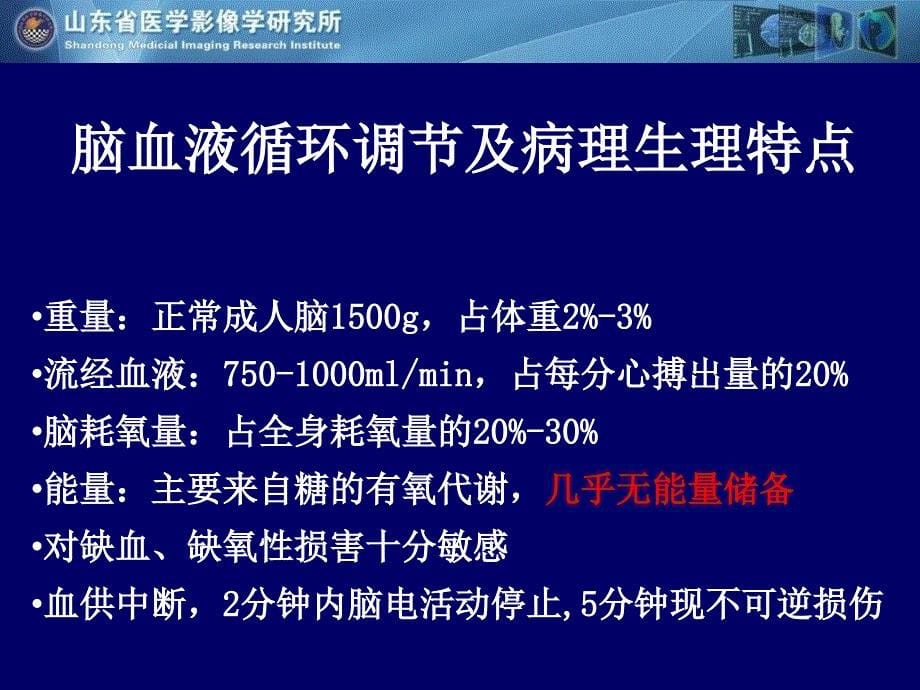 缺血性脑血管病的影像诊断_第5页