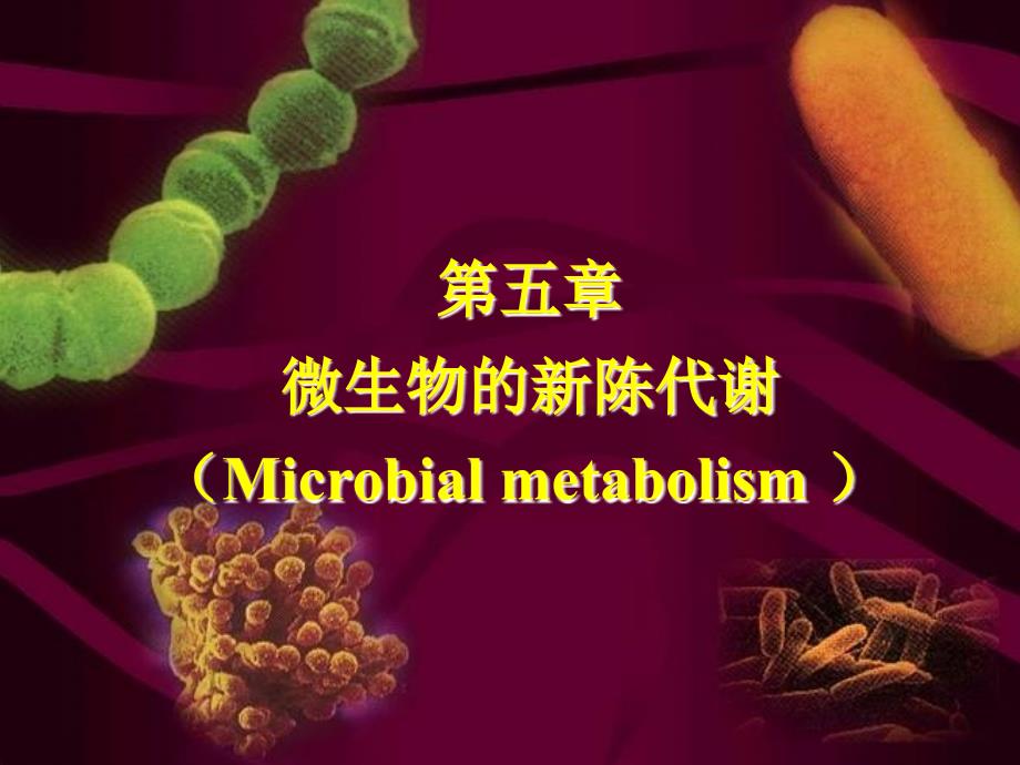 第五章 微生物的新陈代谢_第1页