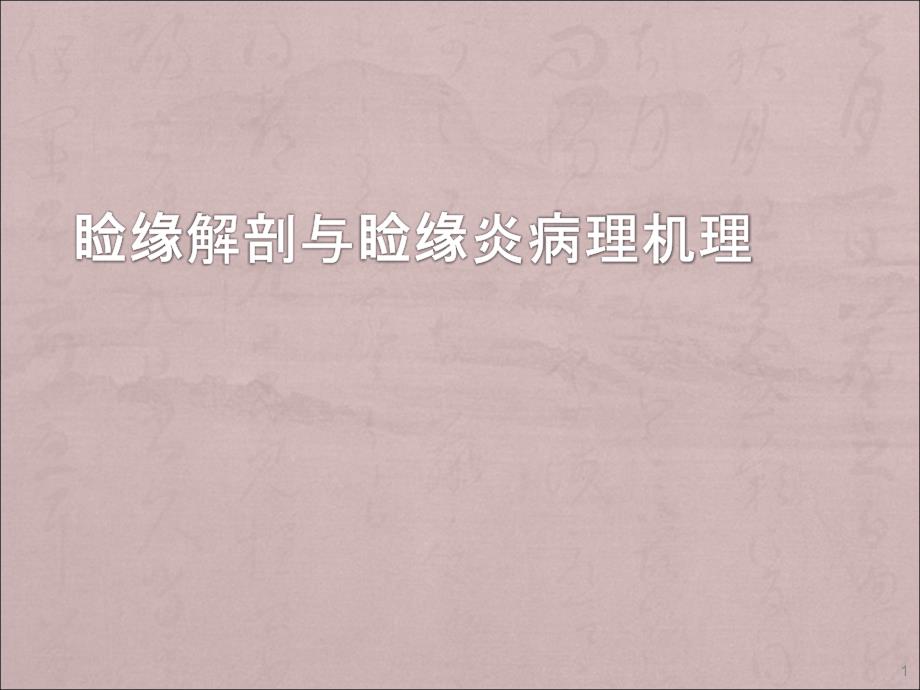 睑缘解剖和睑缘炎病理机理ppt课件_第1页