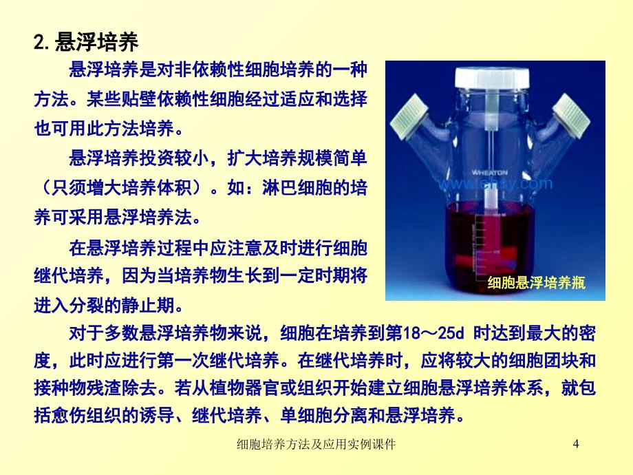 细胞培养方法及应用实例课件_第4页