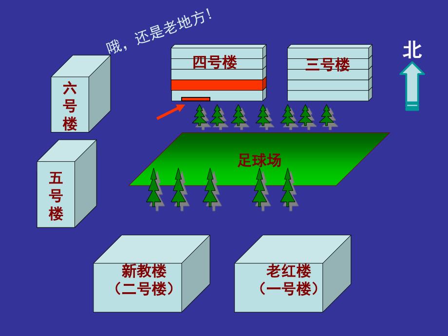 八动物模型免疫缺陷动物_第3页