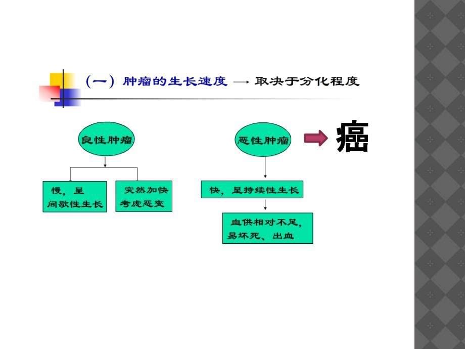 肿瘤患者的健康教育_第5页