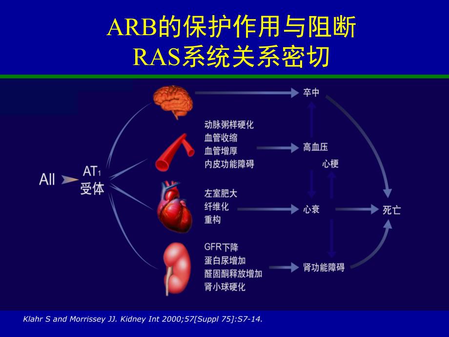 arb治疗糖尿病肾病的循证医学证据ppt课件_第2页