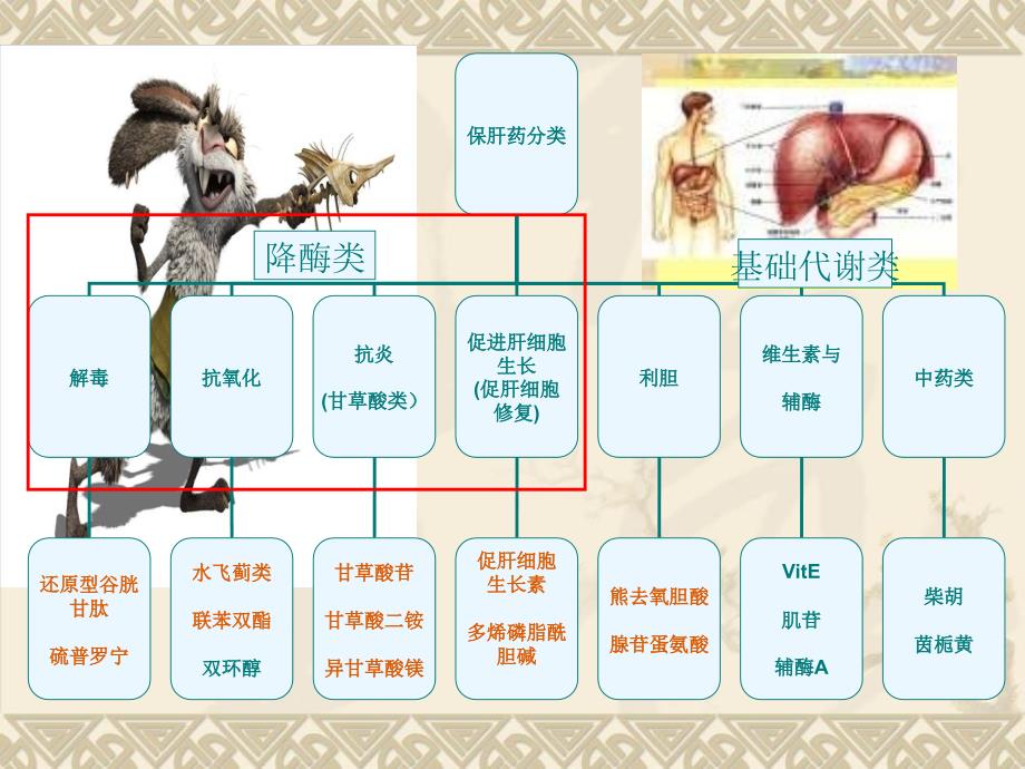 保肝药物及临床应用_第4页