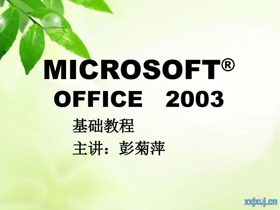 Office2003课件_第1页