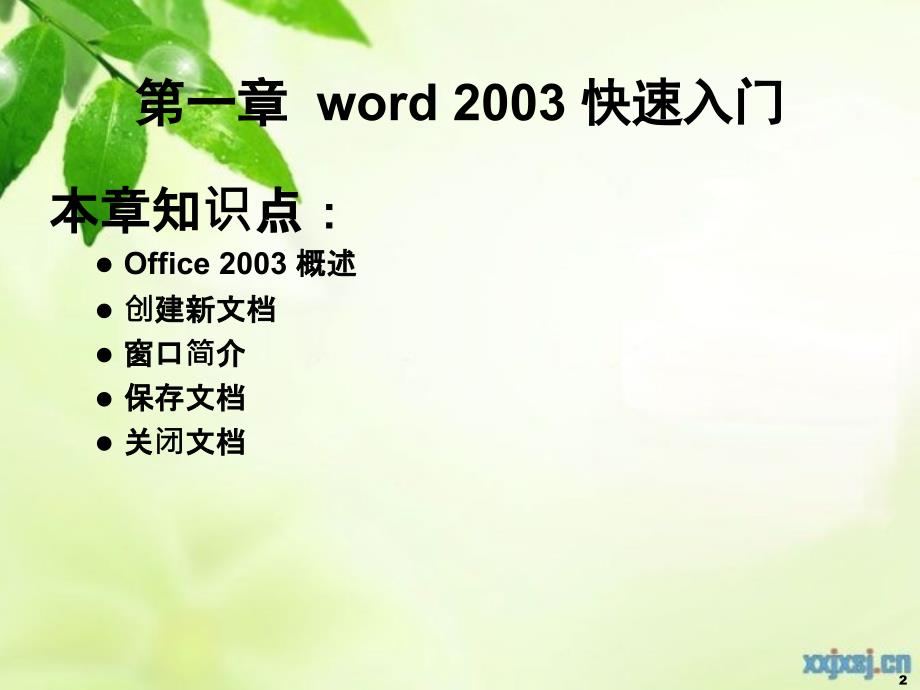 Office2003课件_第2页