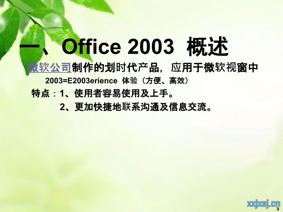 Office2003课件_第3页