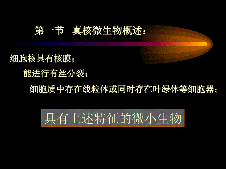 真和微生物PPT课件_第3页