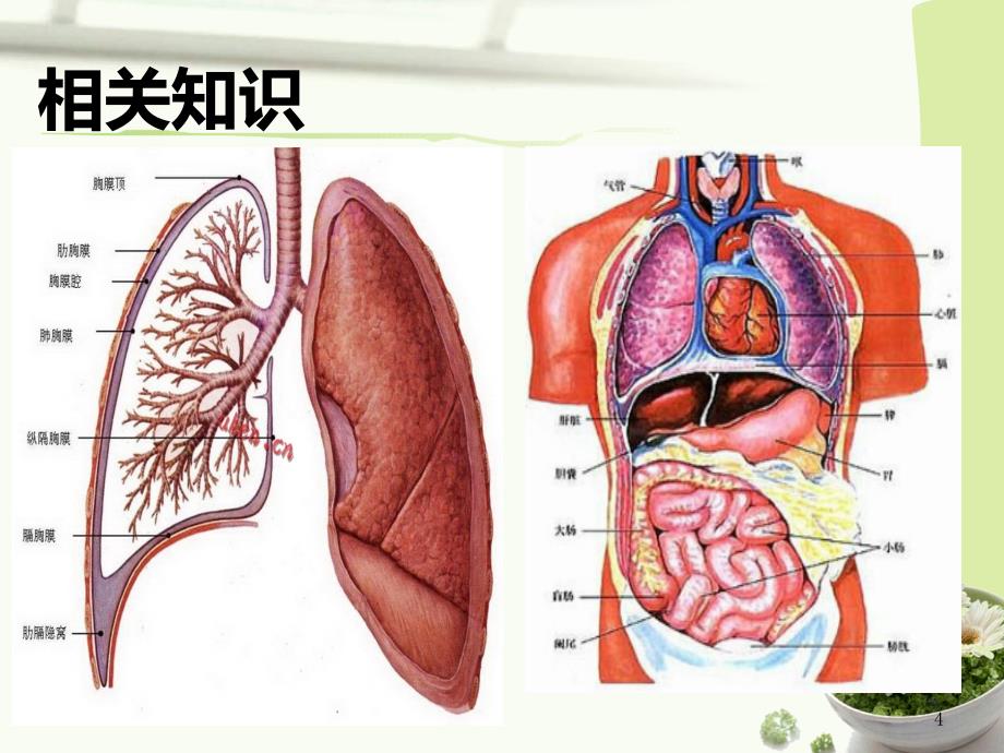 胸腔闭式引流的注意事项_第4页