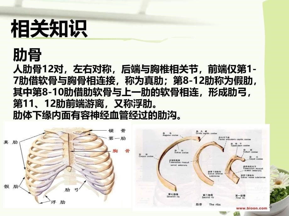 胸腔闭式引流的注意事项_第5页