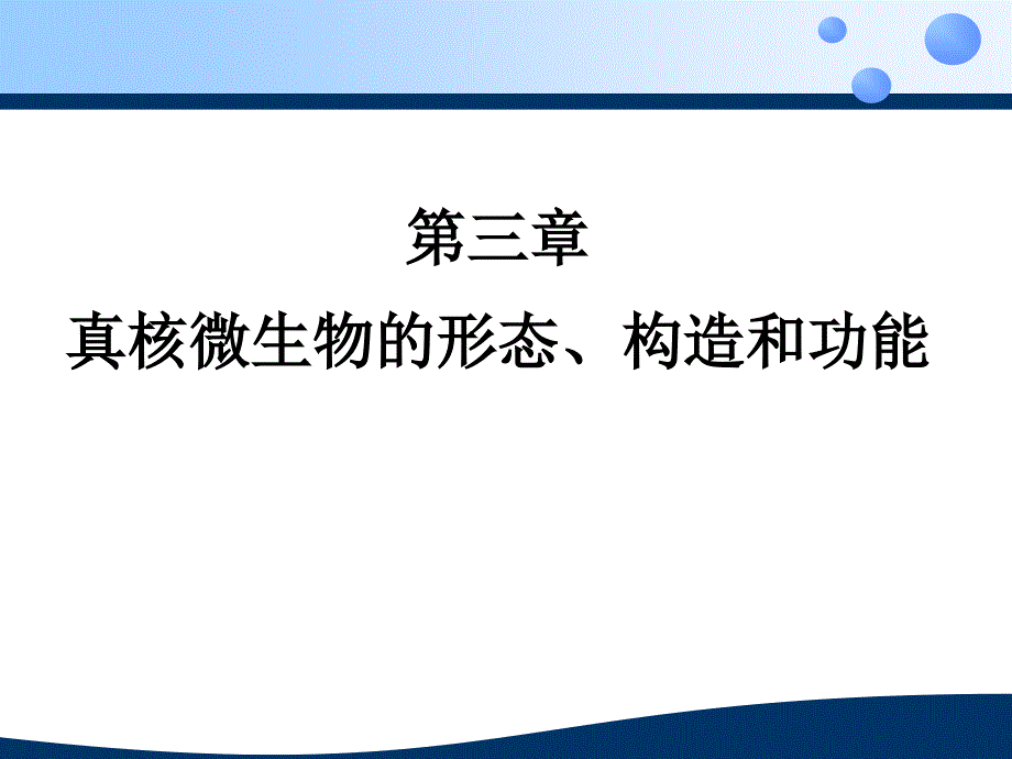 真核微生物的细胞结构_第1页