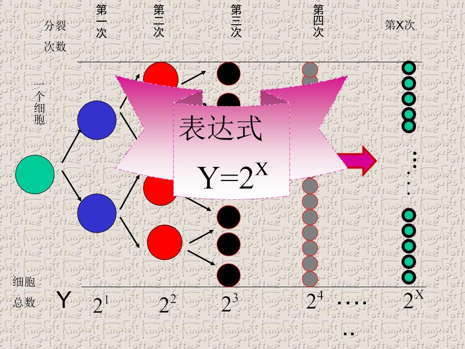 指数函数及其性质课件_第3页