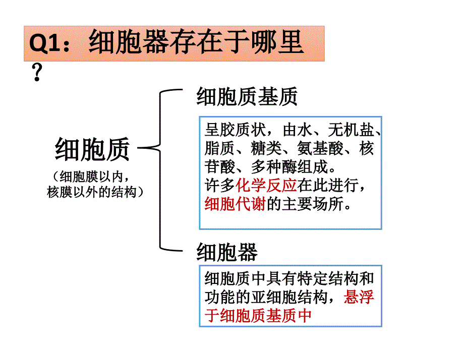 细胞器—系统内的分工与合作Z_第2页