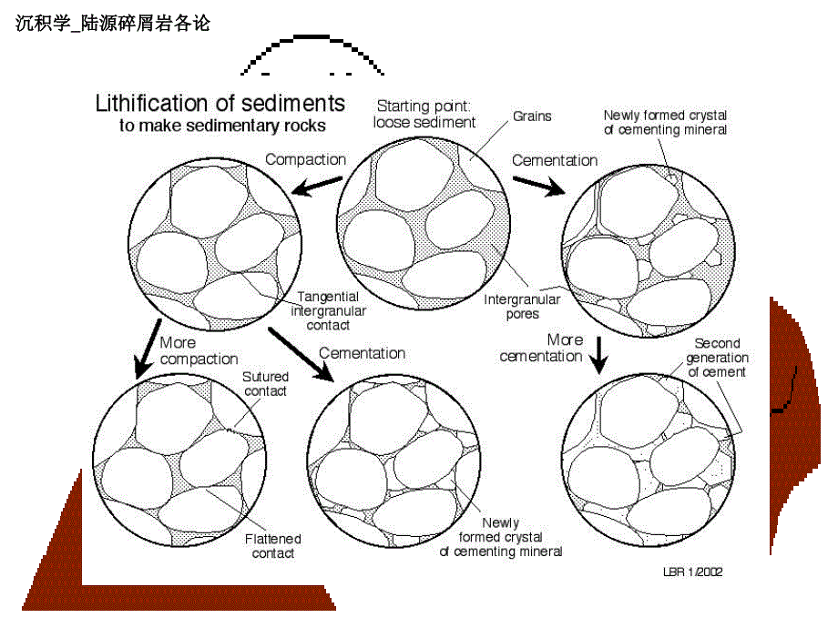 沉积学陆源碎屑岩各论沉积后作用_第4页