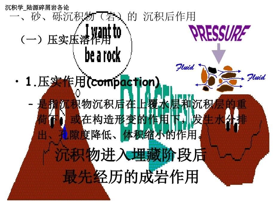 沉积学陆源碎屑岩各论沉积后作用_第5页