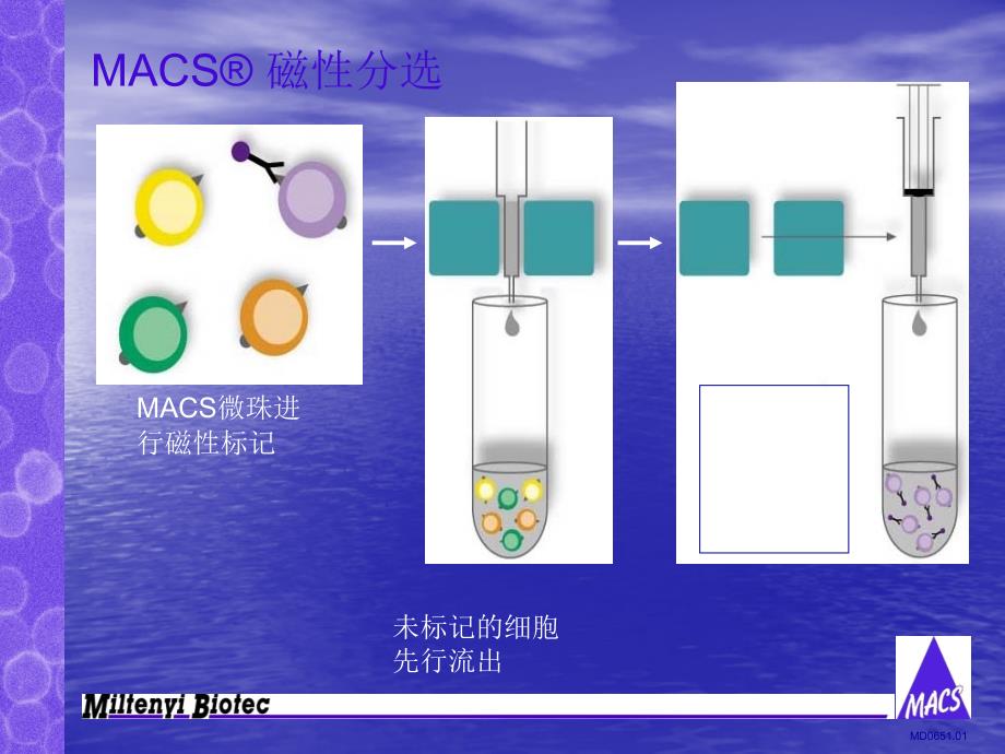 磁珠分选原理及应用_第4页