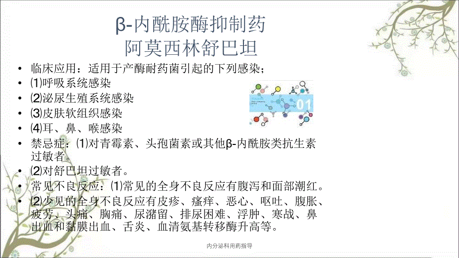 内分泌科用药指导课件_第2页