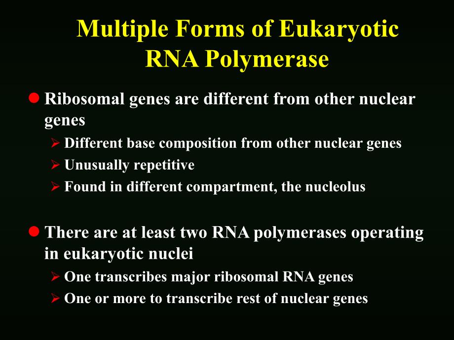 分子生物学教学课件：Part 3 Chapter 12 Mechanisms of transcription 2_第4页