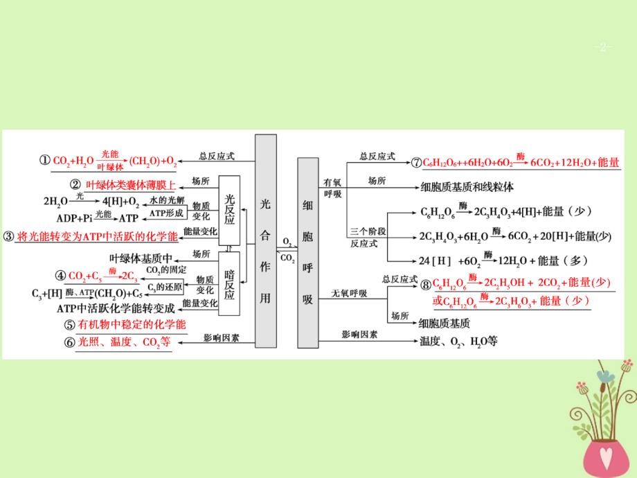 生物第一部分 四 细胞呼吸与光合作用 新人教版_第2页