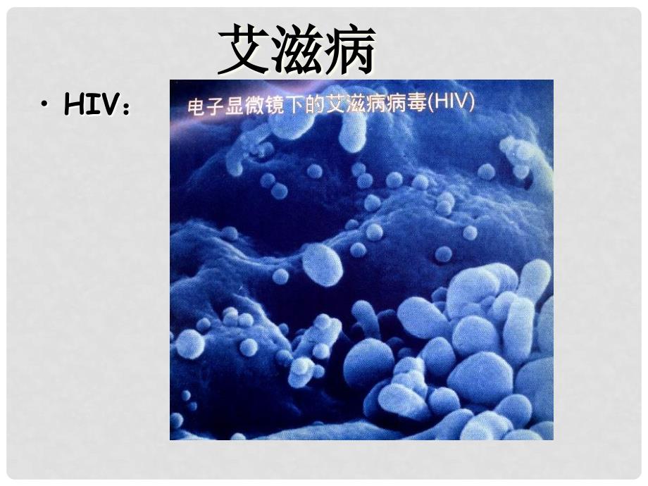 高中生物 第2章 第4节 免疫调节课件 新人教版必修3_第2页