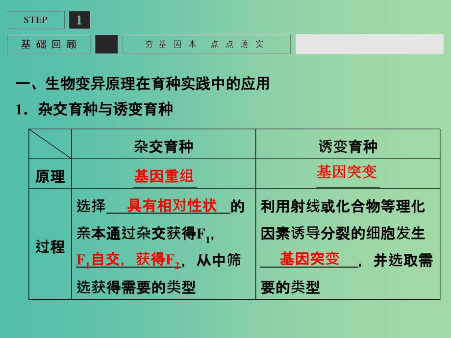 高考生物一轮复习 第3单元 基础课时案23 从杂交育种到基因工程课件 新人教版必修2.ppt_第3页