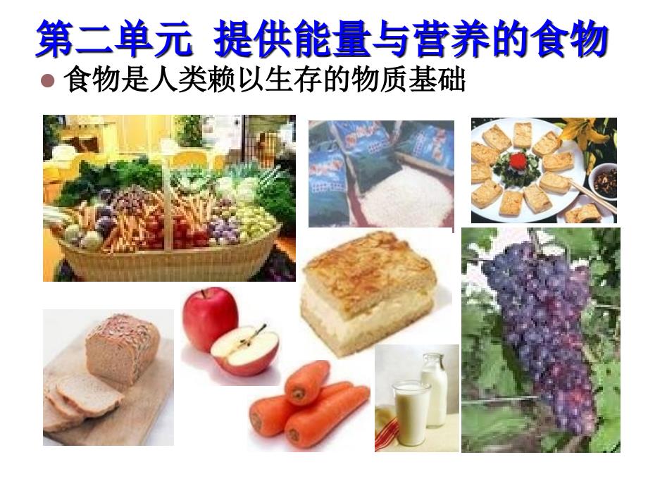 专2第二单元-提供能量与营养的食物_第3页