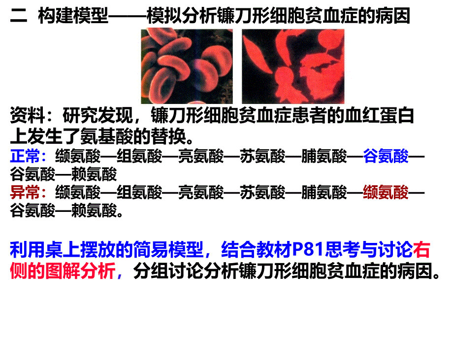 第1节基因突变和基因重组第一课时共20张PPT_第4页