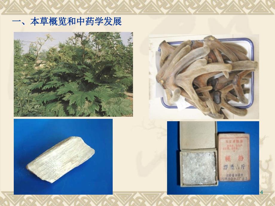 中医渊源本草概中药学的发展(医学百事通转)_第4页