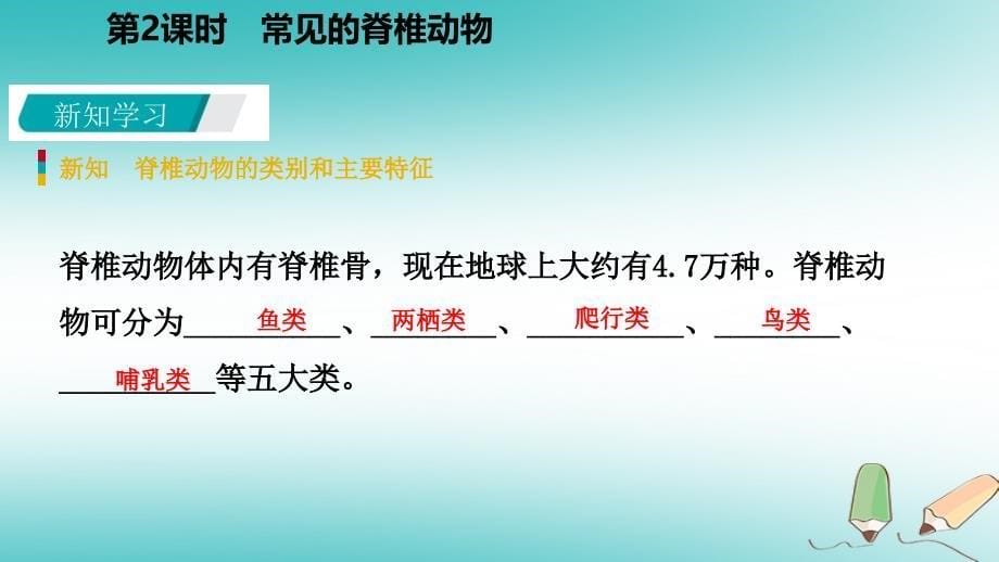 七年级科学上册 第2章 观察生物 第4节 常见的动物 2.4.2 常见的脊椎动物 （新版）浙教版_第5页