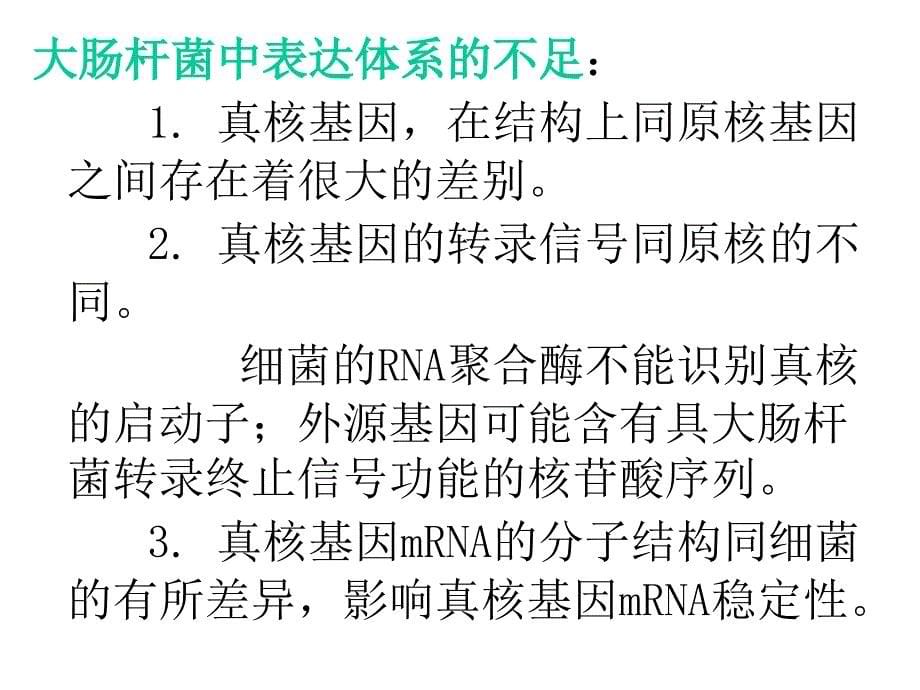 医学课件真核基因的大肠杆菌表达体系大肠杆菌的表达载体克隆的真核_第5页