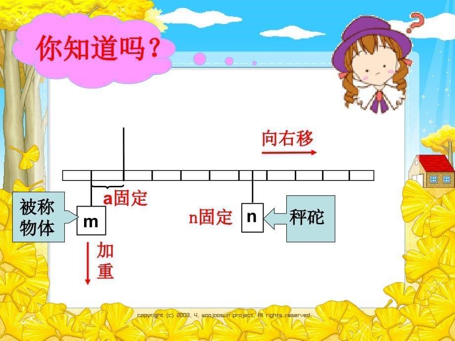 新人教版六年级下册数学有趣的平衡_第5页