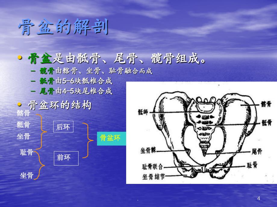 (医学课件)骨盆骨折护理查房ppt演示课件_第4页