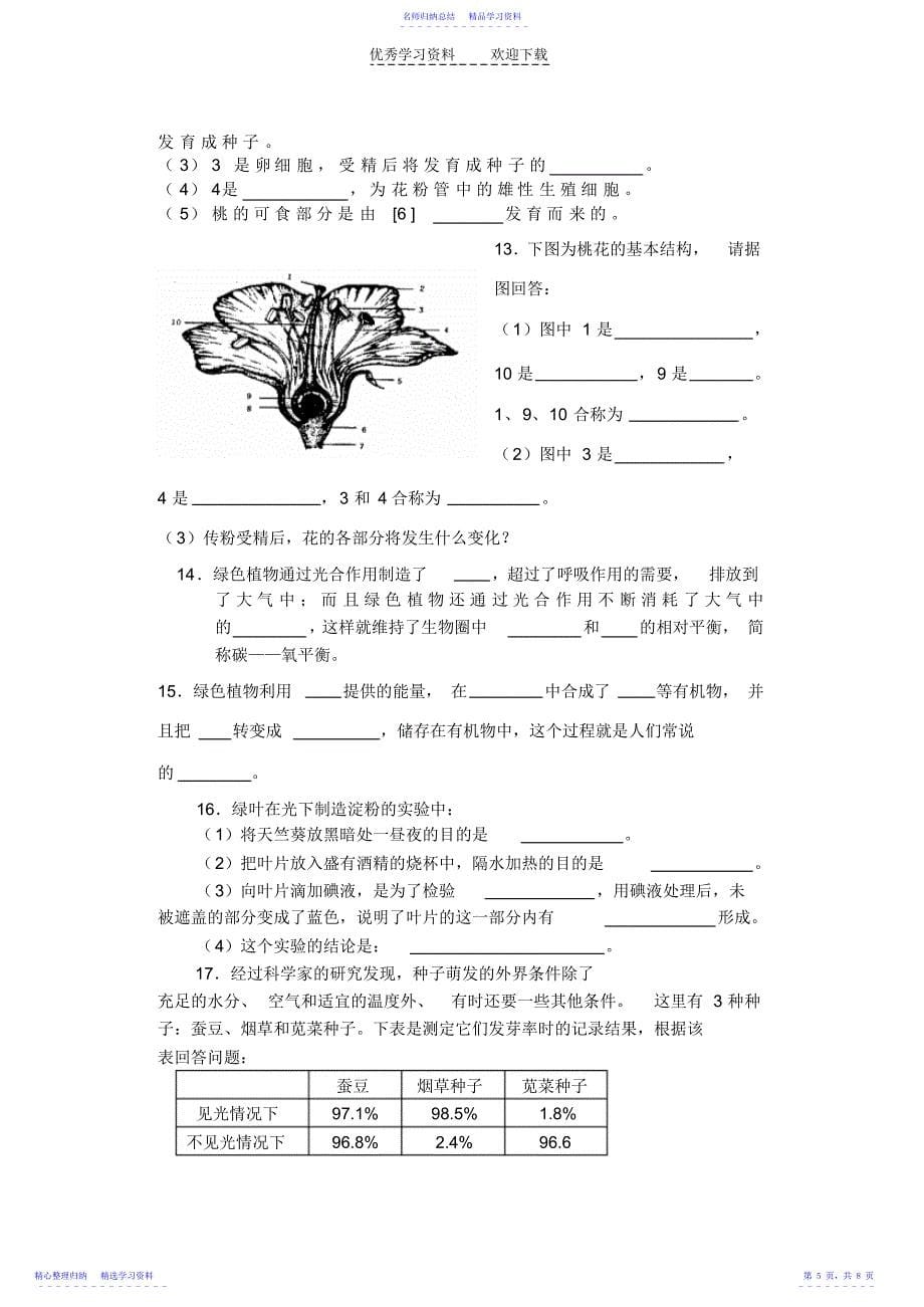 2022年七年级上册综合题复习_第5页